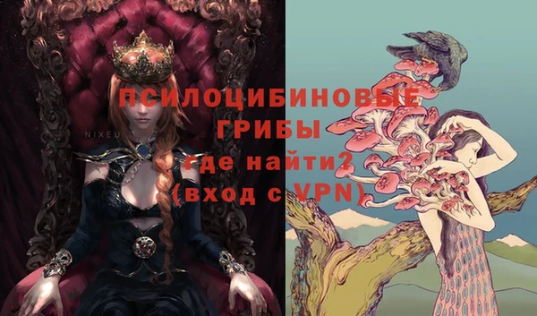 хмурый Абинск