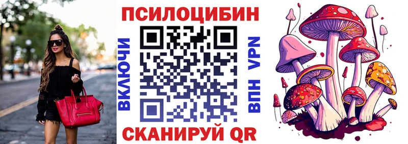 Галлюциногенные грибы Psilocybe мориарти клад Усть-Кут